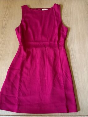 Aritzia Babaton Spectre mini dress